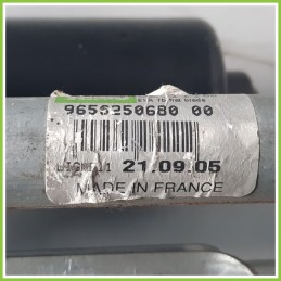 Tergi Cristallo PEUGEOT 307 1.6 16V 9656250680 2005 2008 VALEO 54526111