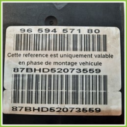 Centralina ABS Modulo Pompa BOSCH 0265800395 0265231486 PEUGEOT 307 Originale Usato