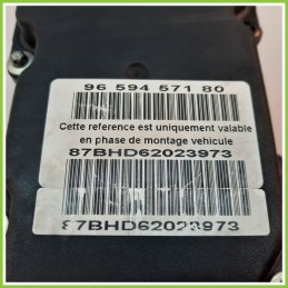 Centralina ABS Modulo Pompa BOSCH 0265800395 0265231486 PEUGEOT 307 Originale Usato