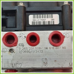 Centralina ABS Modulo Pompa BOSCH 0265800406 0265231508 PEUGEOT 307 Originale Usato