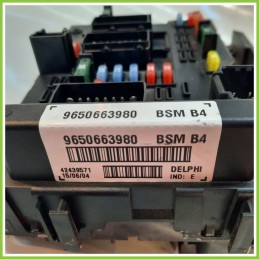 Body Computer Centralina Modulo BCM BSI DELPHI 42439571 PEUGEOT 206 1.4 9650663980 1998 2009
