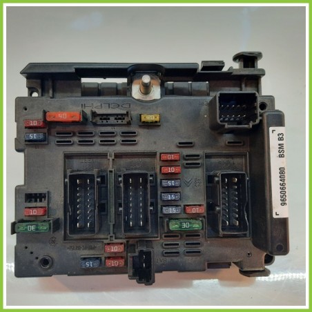 Body Computer Centralina Modulo BCM BSI DELPHI 31134790 PEUGEOT 307 2.0 9650664080 2001 2006