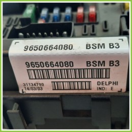 Body Computer Centralina Modulo BCM BSI DELPHI 31134790 PEUGEOT 307 2.0 9650664080 2001 2006