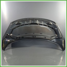 Cofano Motore PEUGEOT 207 2006 2009 GRIGIO - KTH VERNICE GRIGIO THORIUM Berlina Originale Usato