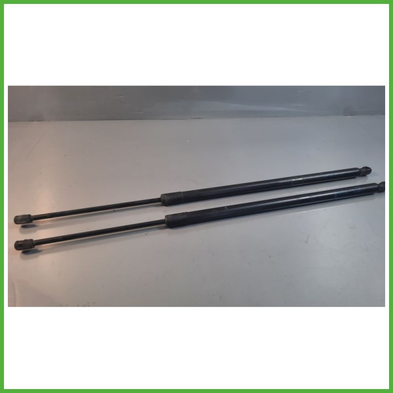 Ammortizzatori Cofano Posteriore FORD KUGA 5 Porte 1945553 2012 2016