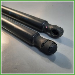 Ammortizzatori Cofano Posteriore FORD KUGA 5 Porte 1945553 2012 2016