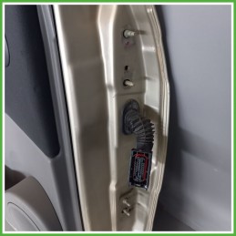 Porta Portiera Sportello Posteriore Destra DX RENAULT SCENIC 2a Serie Monovolume 2003 2009 Originale Usato