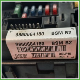 Body Computer Centralina Modulo BCM BSI DELPHI BSM-B2 PEUGEOT 206 1.1 9650664180 1998 2009