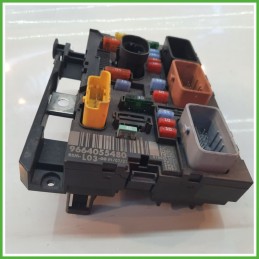 Body Computer Centralina Modulo BCM BSI DELPHI BSM-L03-00 CITROEN C3 2a Serie 1.6 16V 9664055480 2005 2010