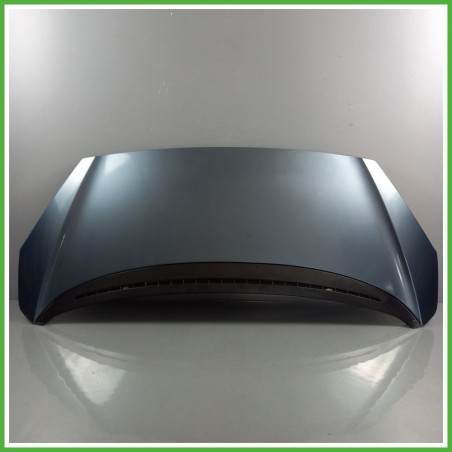 Cofano Motore GRIGIO SCURO PEUGEOT 1007 2005 2010 Berlina Originale Usato