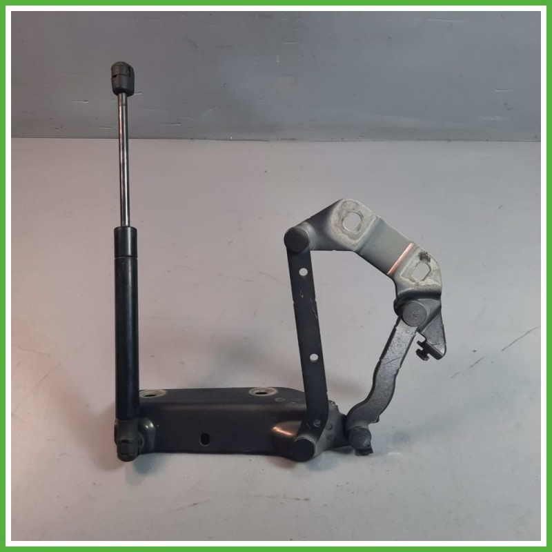 Cerniere Cofano Anteriore LAND ROVER FREELANDER 5 Porte LR001565 2006 2015