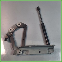 Cerniere Cofano Anteriore LAND ROVER FREELANDER 5 Porte LR001565 2006 2015