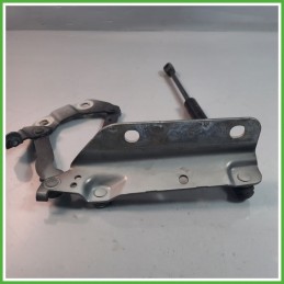 Cerniere Cofano Anteriore LAND ROVER FREELANDER 5 Porte LR001565 2006 2015