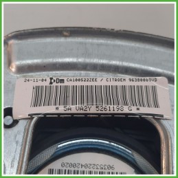 Airbag Guidatore Sinistro SX CITROEN C2 1.1 9638009VD 2003 2010 DM DALPHIMETAL CA100522ZEE