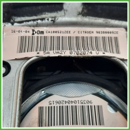 Airbag Guidatore Sinistro SX CITROEN C3 1a Serie 1.1 9638009ZE 2002 2005 DM DALPHIMETAL CA100521ZEE