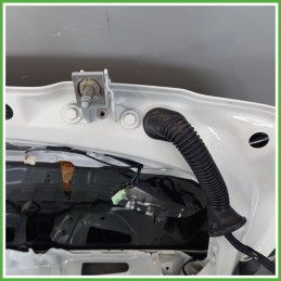 Portellone Bagagliaio Cofano Baule Posteriore BMW Serie 1 5P F40 2019 BIANCO - 300 ALPINWEISS 3 Berlina Originale Usato