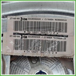 Airbag Guidatore Sinistro SX CITROEN C3 2a Serie 1.1 4112HH 2005 2010 DM DALPHIMETAL CA103323ZE