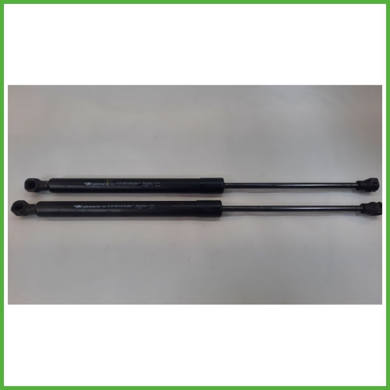 Ammortizzatori Portellone Posteriore DACIA SANDERO 3a serie 904513457R 2020