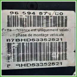 Centralina ABS Modulo Pompa BOSCH 0265800395 9649988280 PEUGEOT 307 Originale Usato