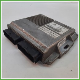 Centralina Motore Iniezione GAS LANDI RENZO 616551000 DACIA SANDERO 1.4 55kw DR202045G24 2008 2013