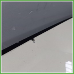 Portellone Bagagliaio Cofano Baule Posteriore ALFA ROMEO MiTo 10 2013 2019 BIANCO - 251/A BIANCOSPINO VR.HWB Berlina Usato
