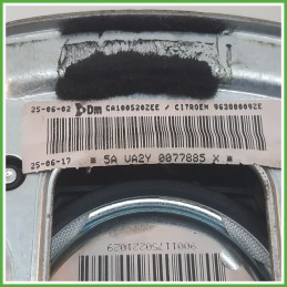 Airbag Guidatore Sinistro SX CITROEN C3 1a Serie 1.4 4112HH 2002 2005 DM DALPHIMETAL CA100520ZEE