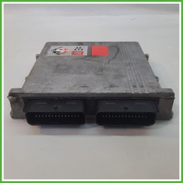 Centralina Motore Iniezione GAS BRC 031001 CITROEN C3 1a Serie 1.4 54kw DE81300104 2002 2005