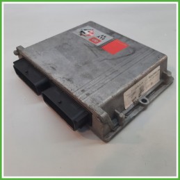 Centralina Motore Iniezione GAS BRC 031001 CITROEN C3 1a Serie 1.4 54kw DE81300104 2002 2005