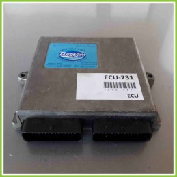 Centralina Motore Iniezione GAS TARTARINI 110R-006030 TARTARINI 67R-016018