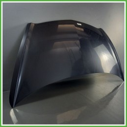 Cofano Motore GRIGIO SCURO HONDA JAZZ 1a Serie 2002 2008 Berlina Originale Usato