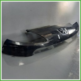 Griglia Cofano Inferiore Paraurti Centrale PEUGEOT 1007 1.4 7804R7 2005 2010