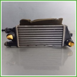 Radiatore Intercooler FIAT 51837873 LANCIA YPSILON TK 0.9 51837873 312A2000 2011 2016