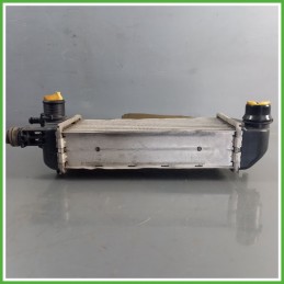 Radiatore Intercooler FIAT 51837873 LANCIA YPSILON TK 0.9 51837873 312A2000 2011 2016