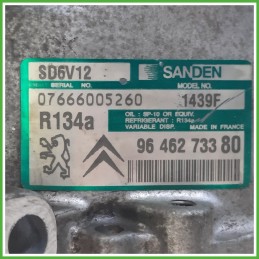Compressore Clima AC Aria Condizionata SANDEN SD6V12 CITROEN C3 1a Serie 9800821980