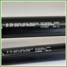 Ammortizzatori Portellone Posteriore PEUGEOT 208 5 Porte 1609616580 2012 2015