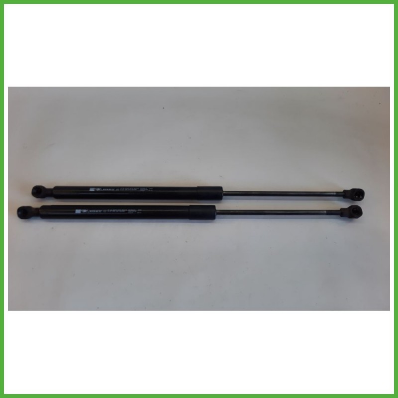 Ammortizzatori Portellone Posteriore RENAULT CLIO 4a Serie 5 Porte 844308661R 2012 2016 RENAULT 171/14