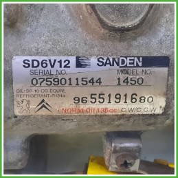 Compressore Clima AC Aria Condizionata SANDEN SD6V12 CITROEN C3 2a Serie 9800821980