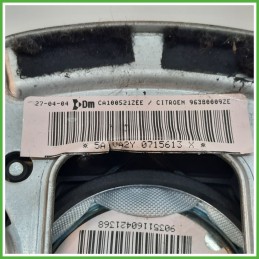 Airbag Guidatore Sinistro SX CITROEN C3 1a Serie 1.4 4112HH 2002 2005 DM DALPHIMETAL CA100521ZEE