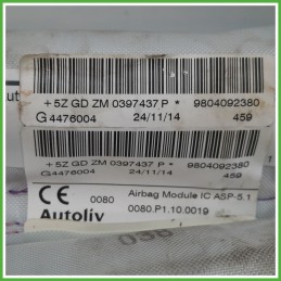 Airbag Laterale Sinistro SX PEUGEOT 208 1.4 8V 9804092380 2012 2015 AUTOLIV 4476004