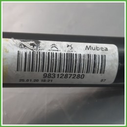 Barra Stabilizzatrice Anteriore PEUGEOT 2008 9831287280 2019