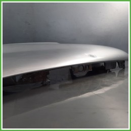 Parafango Anteriore Sinistra SX LANCIA PHEDRA TC Monovolume 2002 2011 GRIGIO Originale Usato