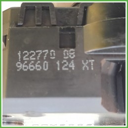 Comandi Devioguida CITROEN C3 2a Serie 1.4 6239WH DELPHI COM2005
