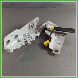 Cerniere Cofano Anteriore JAGUAR XE 4 Porte T2H12980 2015 2019