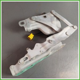 Cerniere Cofano Anteriore JAGUAR XE 4 Porte T2H12980 2015 2019