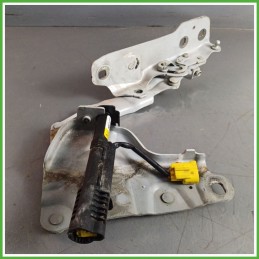 Cerniere Cofano Anteriore JAGUAR XE 4 Porte T2H12981 2015 2019