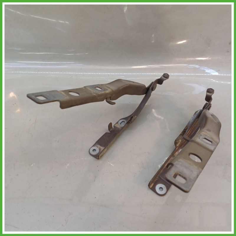 Cerniere Cofano Anteriore CITROEN C4 CACTUS 5 Porte 9801113880 2014 2019