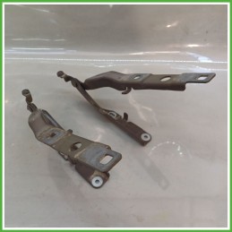 Cerniere Cofano Anteriore CITROEN C4 CACTUS 5 Porte 9801113880 2014 2019
