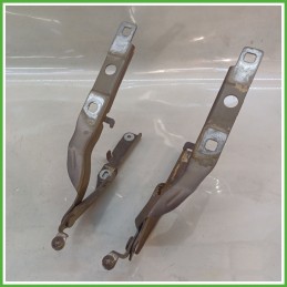 Cerniere Cofano Anteriore CITROEN C4 CACTUS 5 Porte 9801113880 2014 2019