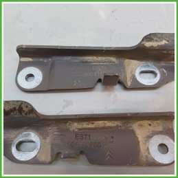 Cerniere Cofano Anteriore CITROEN C4 CACTUS 5 Porte 9801113880 2014 2019