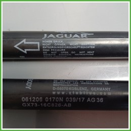 Ammortizzatori Cofano Anteriore JAGUAR XE 4 Porte T2H3023 2015 2019